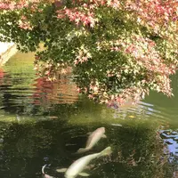 三景園の写真・動画_image_456402
