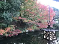 三景園の写真・動画_image_456405