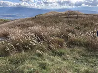 ビーナスラインの写真・動画_image_456860