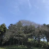 そば処山崎の写真・動画_image_456971