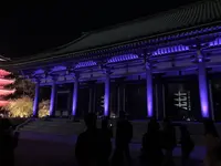 東長寺の写真・動画_image_457002