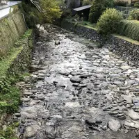 廣久葛本舗の写真・動画_image_457008