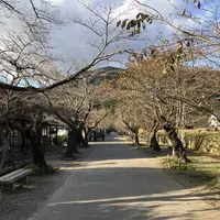 廣久葛本舗の写真・動画_image_457010