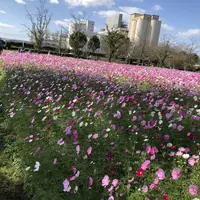 キリンビアファーム KIRIN BEER FARM BEER RESTAURANTの写真・動画_image_457017
