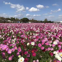 キリンビアファーム KIRIN BEER FARM BEER RESTAURANTの写真・動画_image_457019