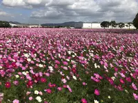キリンビアファーム KIRIN BEER FARM BEER RESTAURANTの写真・動画_image_457020
