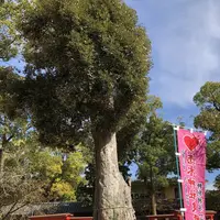 水田天満宮（恋木神社）の写真・動画_image_457045