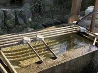 陶山神社の写真・動画_image_460093