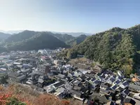 陶山神社の写真・動画_image_460099
