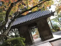 大興善寺の写真・動画_image_460280