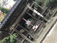 大興善寺の写真・動画_image_460281