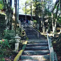 大悲王院の楓の写真・動画_image_460282