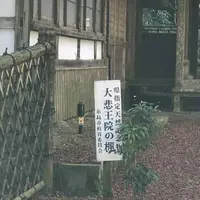 大悲王院の楓の写真・動画_image_460283