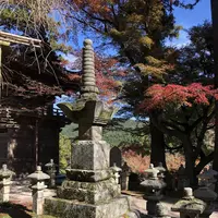 大悲王院の楓の写真・動画_image_460285