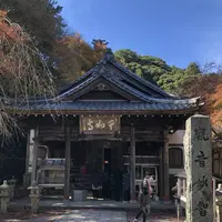 大悲王院の楓の写真・動画_image_460289