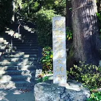 伊野天照皇大神宮の写真・動画_image_460296