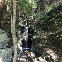 伊野天照皇大神宮の写真・動画_image_460297