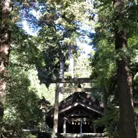 伊野天照皇大神宮の写真・動画_image_460298