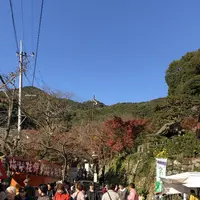 九年庵の写真・動画_image_460376