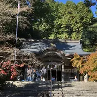 九年庵の写真・動画_image_460377