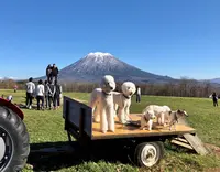高橋牧場ニセコミルク工房の写真・動画_image_462030