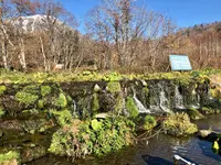 羊蹄山の湧き水の写真・動画_image_462032