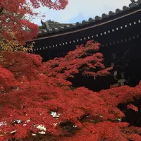 真如堂（真正極楽寺）の写真・動画_image_462348