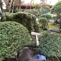 修善寺の写真・動画_image_462843