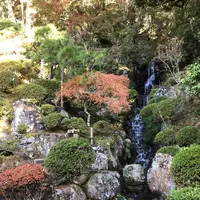 修善寺の写真・動画_image_462844
