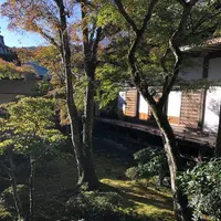 修善寺の写真・動画_image_462847
