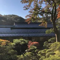 修善寺の写真・動画_image_462848