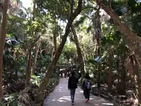 青島神社の写真・動画_image_463509