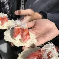 飛騨 こって牛の写真・動画_image_463516