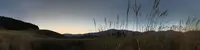 仙石原高原の写真・動画_image_463731