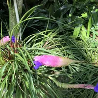 淡路ファームパーク イングランドの丘の写真・動画_image_463753