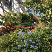 淡路ファームパーク イングランドの丘の写真・動画_image_463756