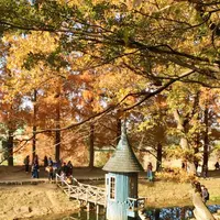トーベ・ヤンソンあけぼの子どもの森公園の写真・動画_image_463782