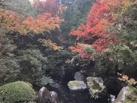 足立美術館の写真・動画_image_464852