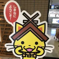 出雲空港（出雲縁結び空港）の写真・動画_image_464859