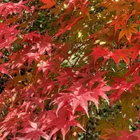 愛岐トンネル群の写真・動画_image_465578