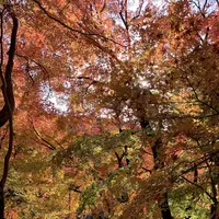 愛岐トンネル群の写真・動画_image_465580