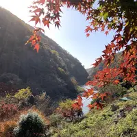 愛岐トンネル群の写真・動画_image_465582