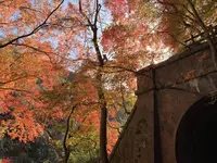 愛岐トンネル群の写真・動画_image_465584