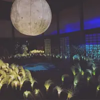 元離宮 二条城の写真・動画_image_467182