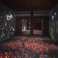 元離宮 二条城の写真・動画_image_467184