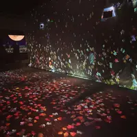 元離宮 二条城の写真・動画_image_467185