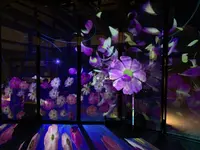 元離宮 二条城の写真・動画_image_467186