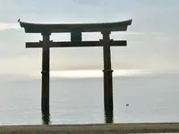 白鬚神社の写真・動画_image_468563