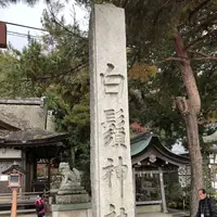 白鬚神社の写真・動画_image_468566