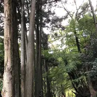 石見銀山の写真・動画_image_469003